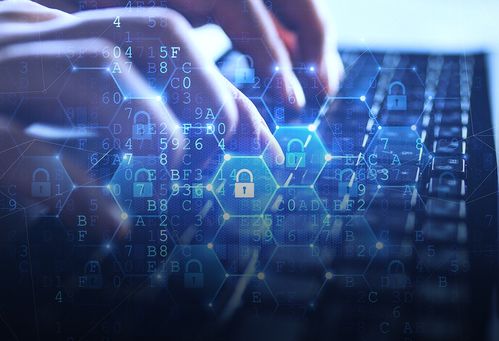 東信和平 傳統業務挑戰中破局，外銷毛利率提升與信息安全雙輪驅動盈利能力改善